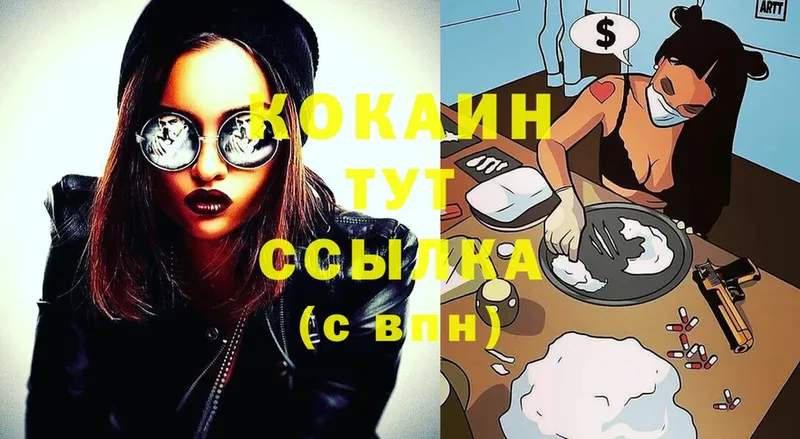 Cocaine FishScale  купить наркотики сайты  Шадринск 