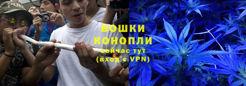 где найти   Шадринск  Каннабис LSD WEED 